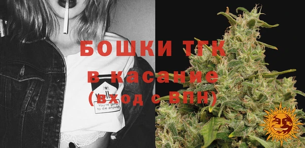 спайс Алзамай