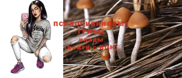 метамфетамин Алексеевка