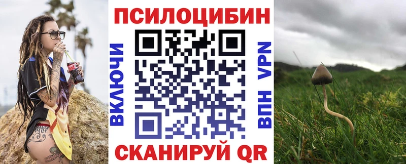 где купить наркоту Алупка Псилоцибиновые грибы Psilocybine cubensis
