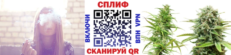 Канабис сатива  кракен как зайти  Алупка  наркота 